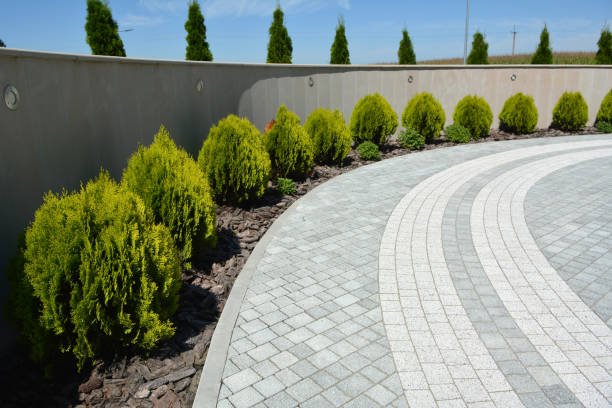 Best Local Driveway Pavers  in Franklinton, NC